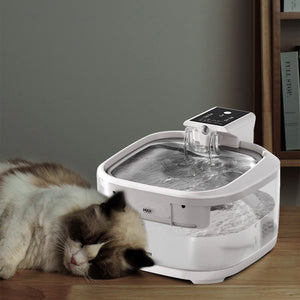 Pet smart water dispenser|COOL YE™